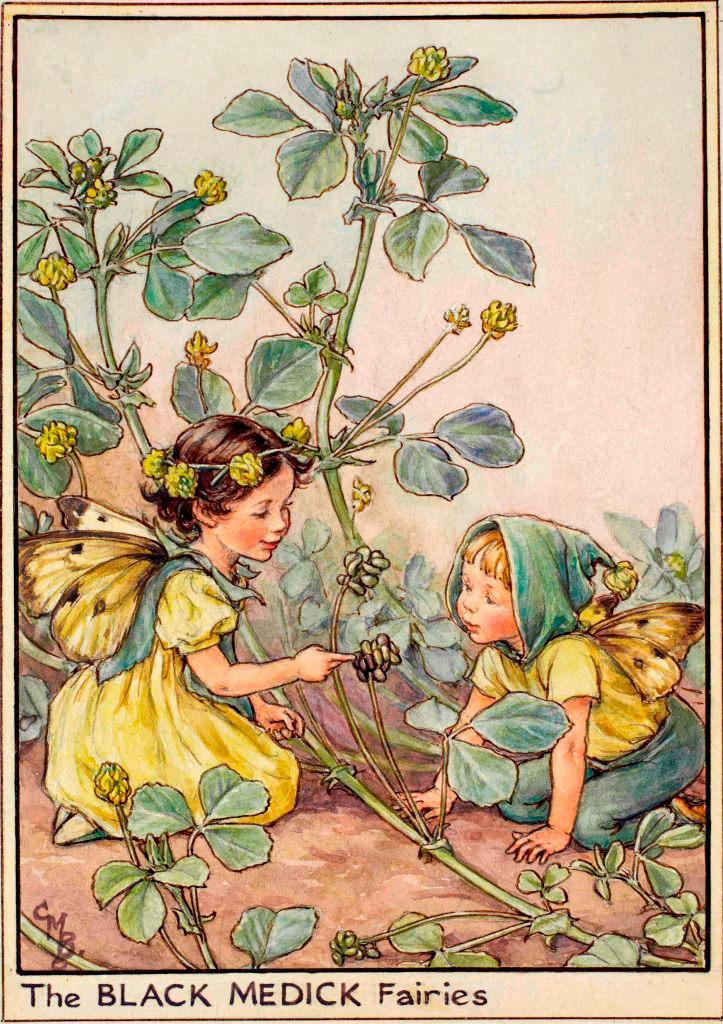 Pillendose "Elfe Hopfenklee"