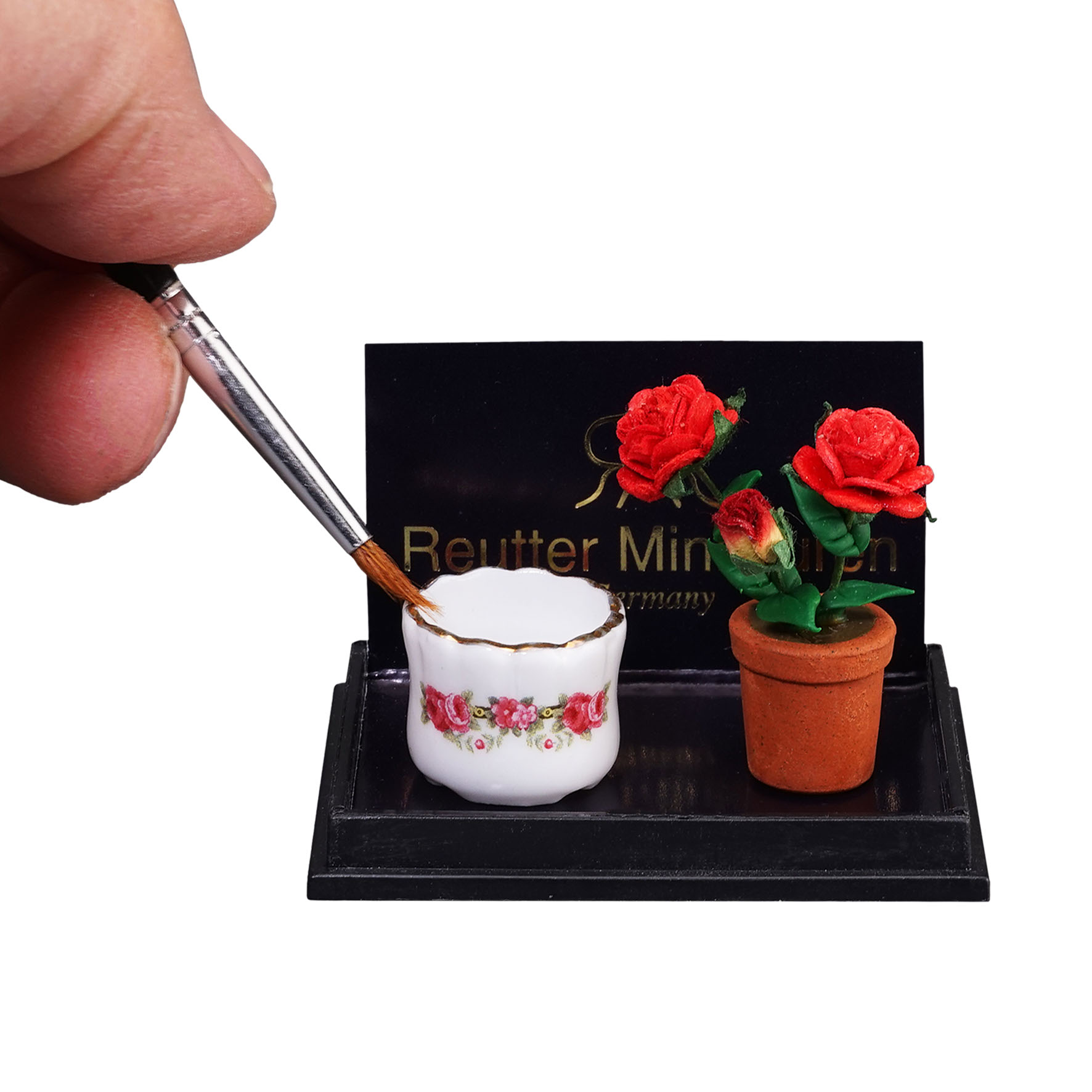 Rosenbusch mit Übertopf