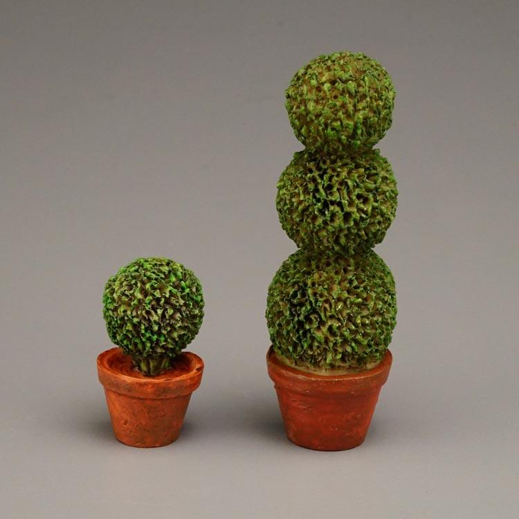 Buchsbaum Duo