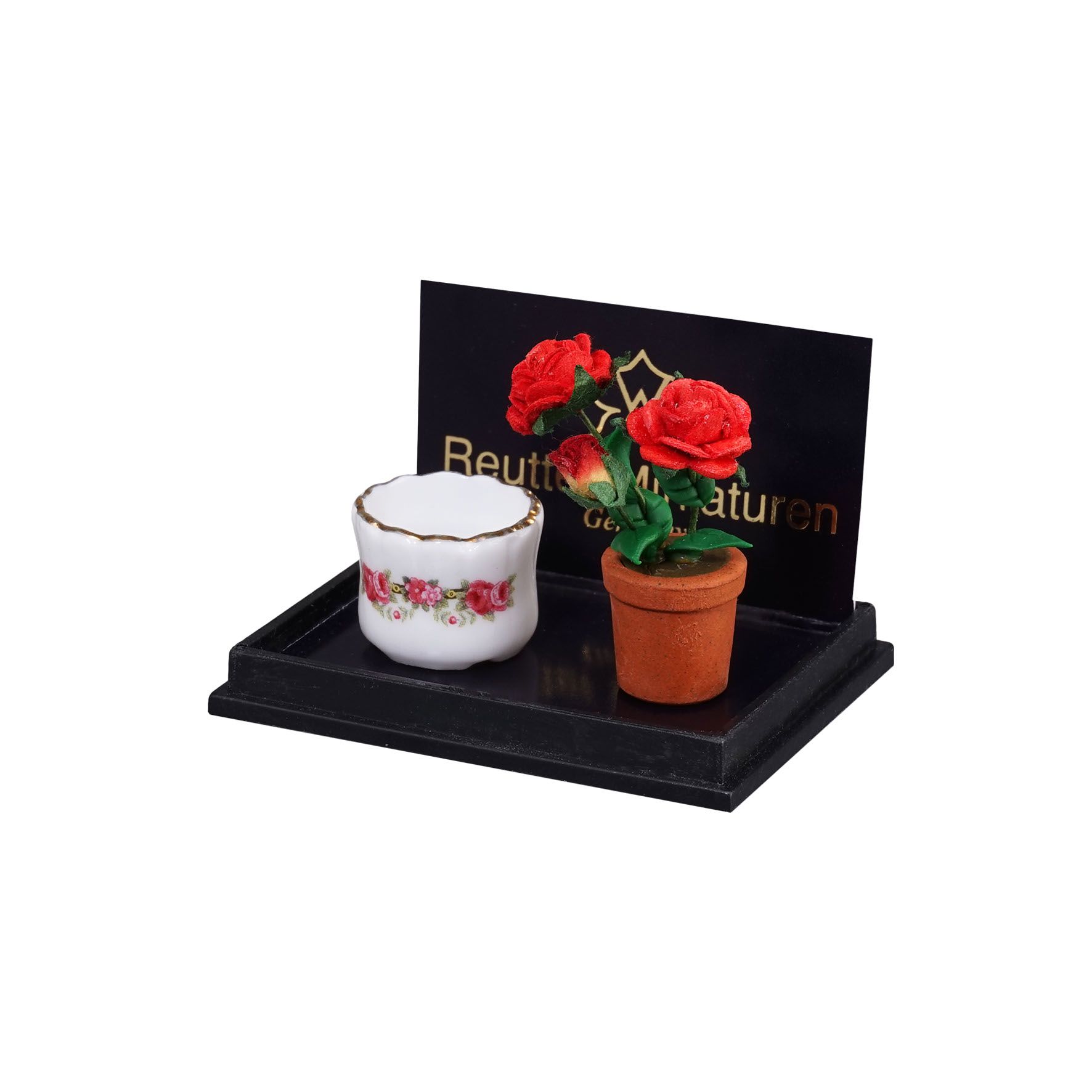 Rosenbusch mit Übertopf